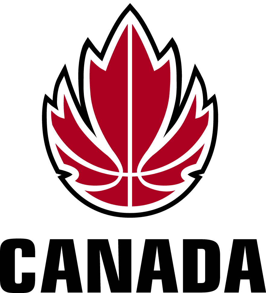 Canada 1999-2012 Primary Logo iron on heat transfer